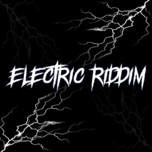 Electric Riddim (Instrumental Version)